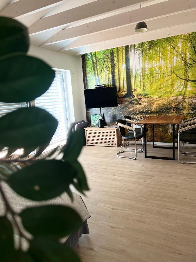 Loft Wohnung Appartement Auf 2 Etagen, Naehe Neckar Neckarwestheim Dış mekan fotoğraf